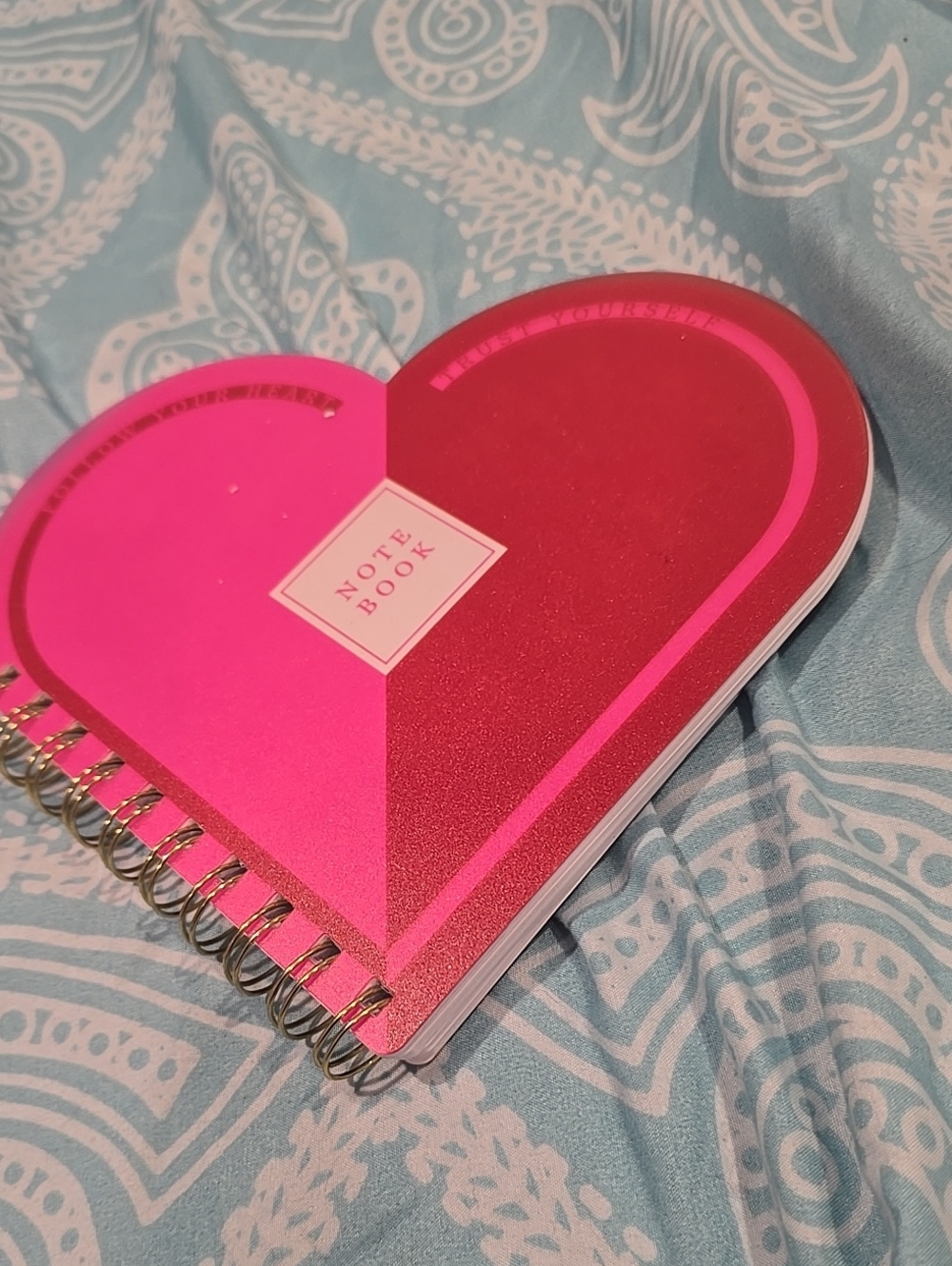 ❤️10/$13 New Fringe Studio Hot Pink and Magenta Heart-Shaped Notebook